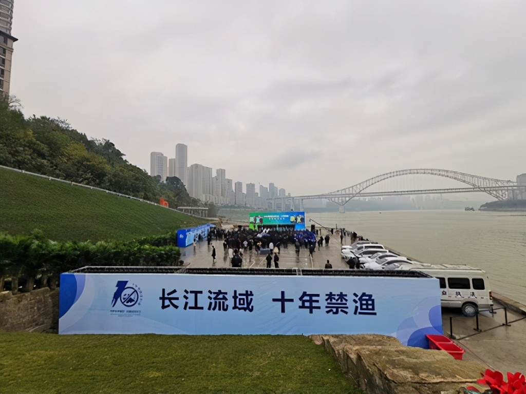 美洲太阳鱼入侵视频,外来入侵物种太阳鱼泛滥