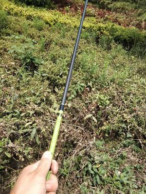 鍙挀40澶ч奔楸肩,4.5绫抽挀澶ч奔楸肩