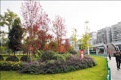 重庆南岸区中一等奖,重庆市南岸区淘汰得分王