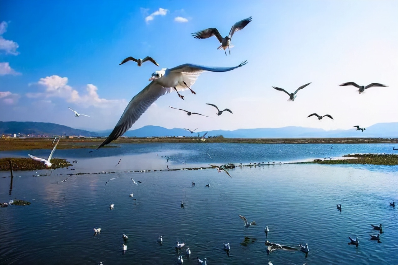 比大理丽江还美的地方,比大理丽江更值得去的地方腾冲