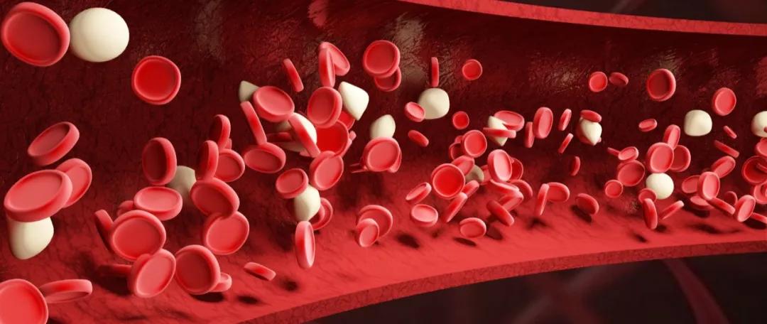 用过靶向药血象高怎么回事,吃靶向药期间如何判断耐药了