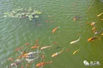 道家相学揭秘,道家玄学阴阳