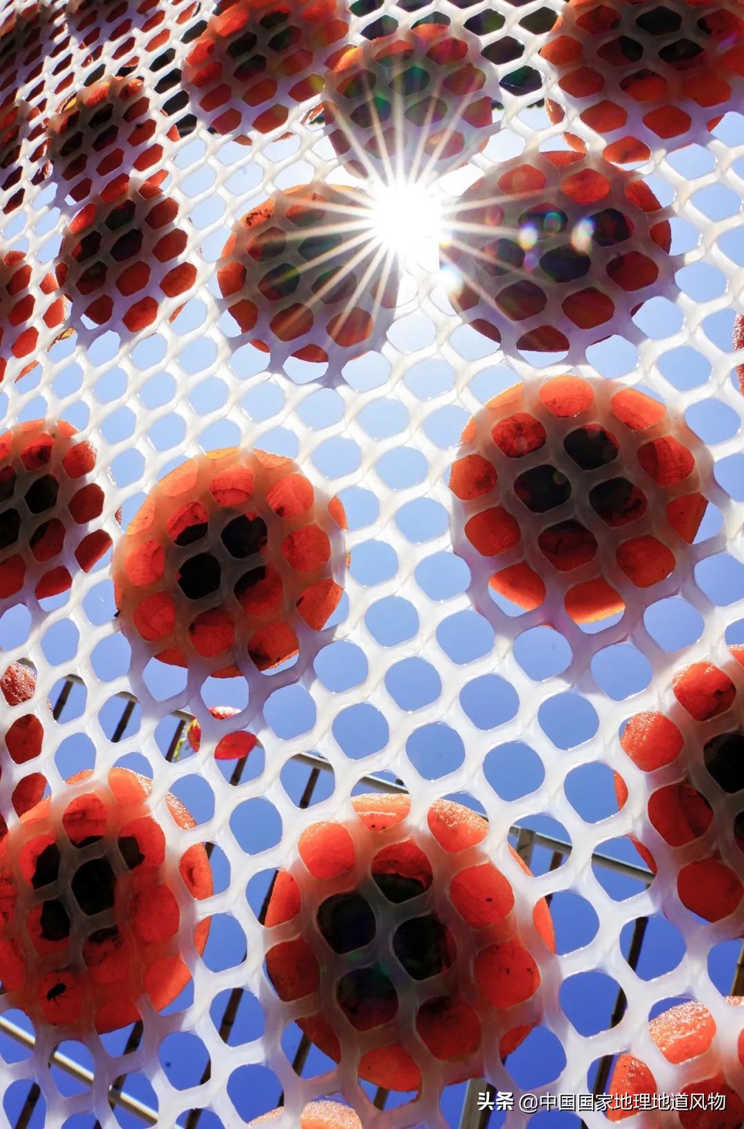 中国夏天地图全图,中国秋色地图