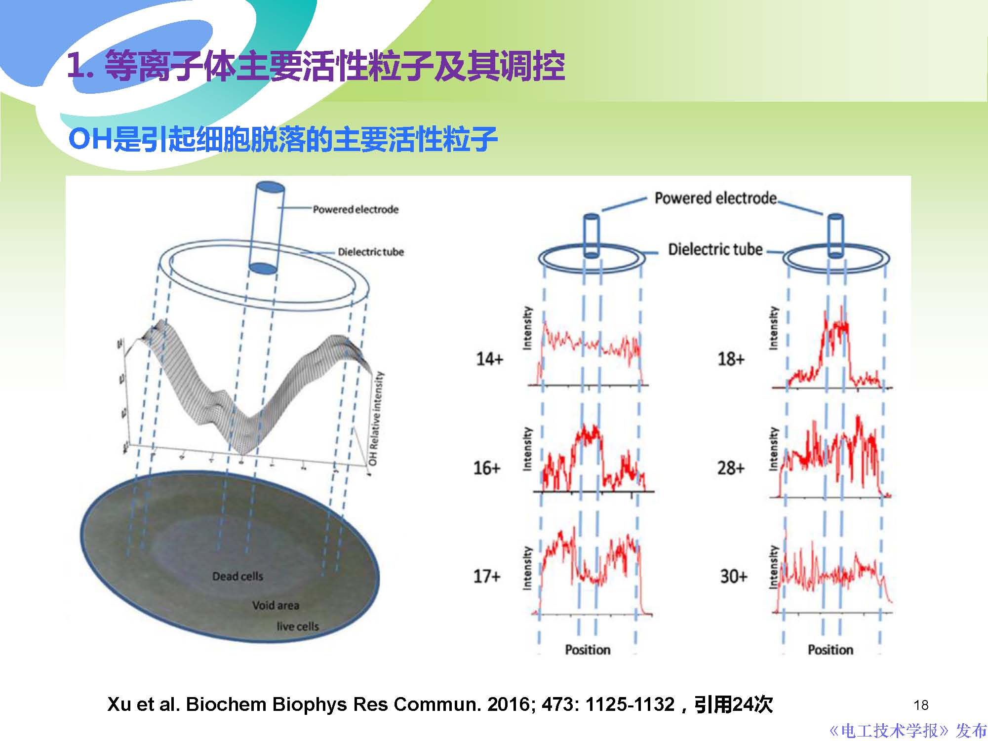 癌症治疗最前沿学术成果,交大癌症治疗新突破
