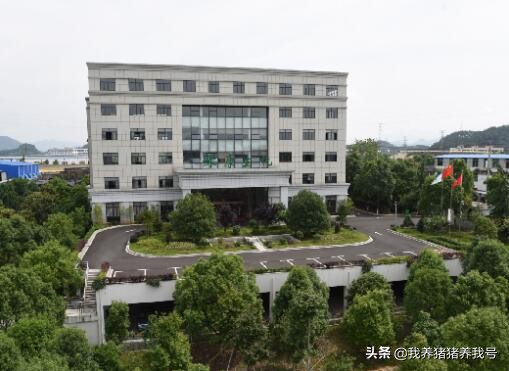 硫酸黏菌素有什么作用和功效,兽用硫酸粘菌素可以长期喂吗