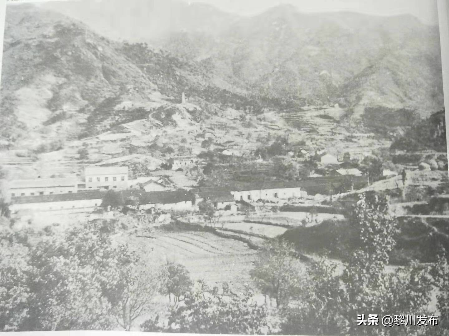 鄂豫皖革命根据地连环画,鄂豫皖革命根据地总指挥