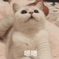 港股打新新手入门教程,港股打新入门技巧