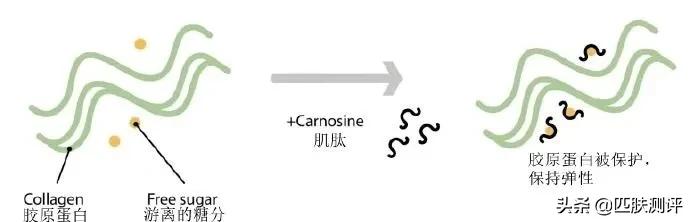 抗氧化护肤珀莱雅,珀莱雅抗糖化