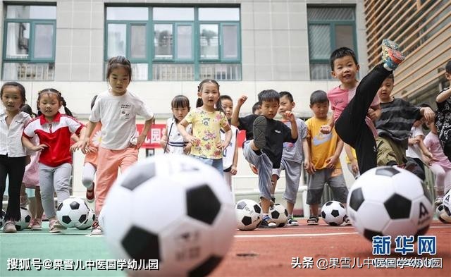 幼儿园体育活动奇妙的动物园,幼儿园线上体育趣味活动