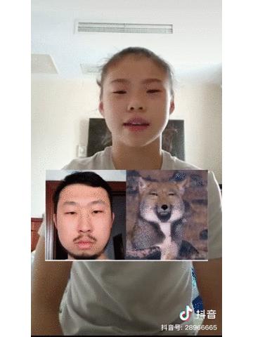 奥运冠军袋鼠摇手采访,奥运运动员袋鼠摇