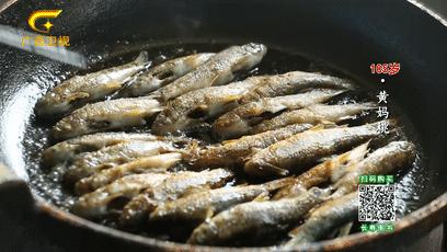 巴马长寿之乡候鸟老人,巴马为什么吸引成千上万的候鸟人