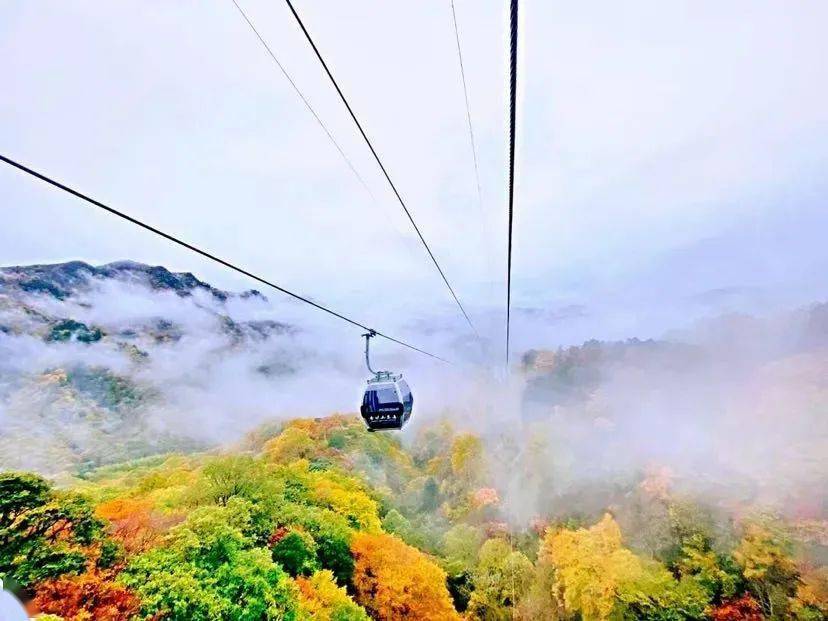 巴中光雾山红叶的最佳时间,红叶谷打卡地