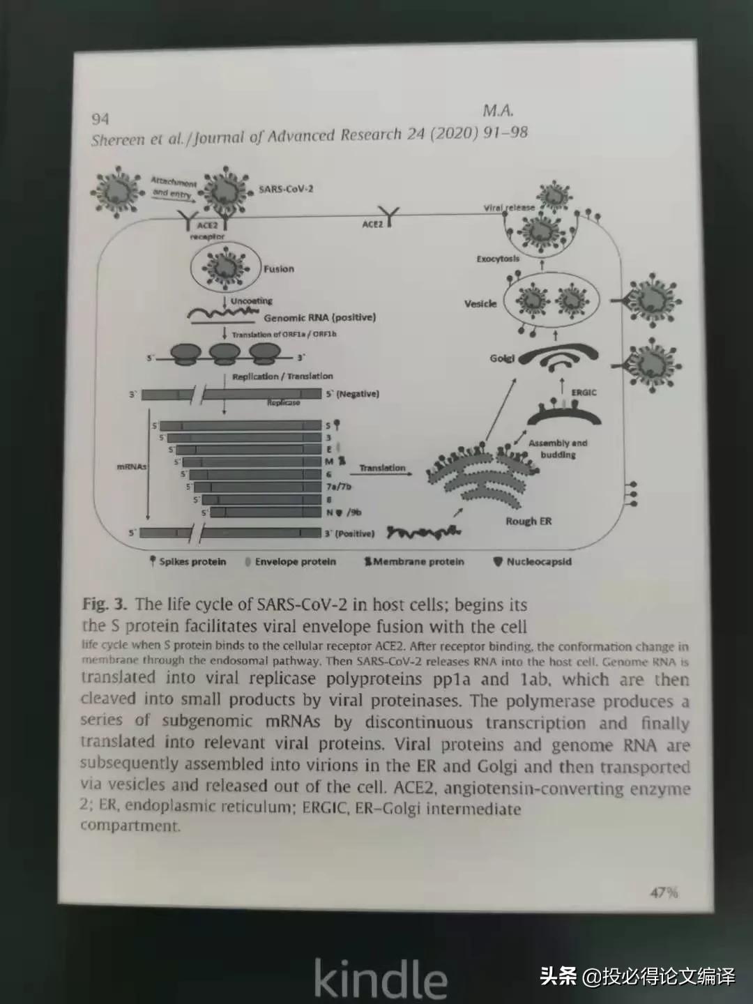 用kindle看word,手机怎么看sci论文