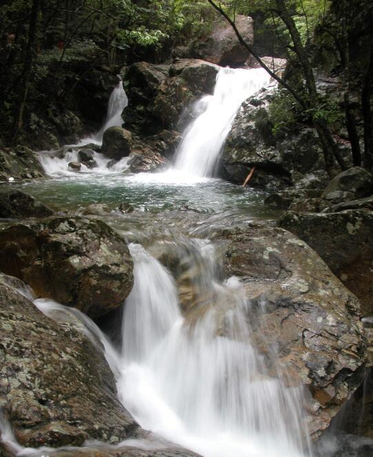 小学英语常考短语句型,小学1-6年级英语固定短语和句型