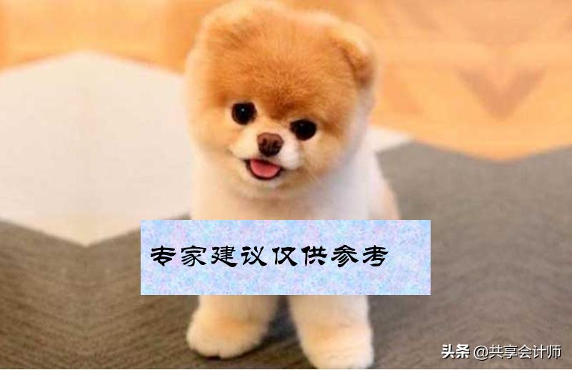 共享会计师财税风险,共享会计财税服务