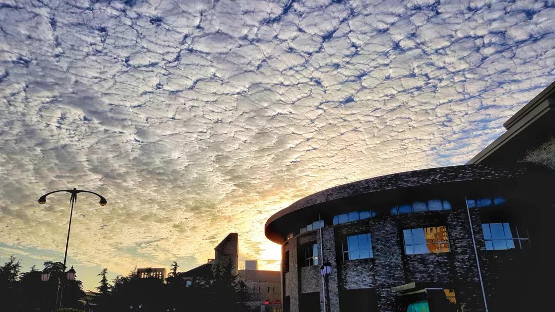 辽宁大连民办大学,大连辽宁二本大学