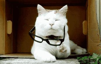 十几岁才发现弱视弱视可以治愈吗,好好的眼睛怎么会变成大小眼