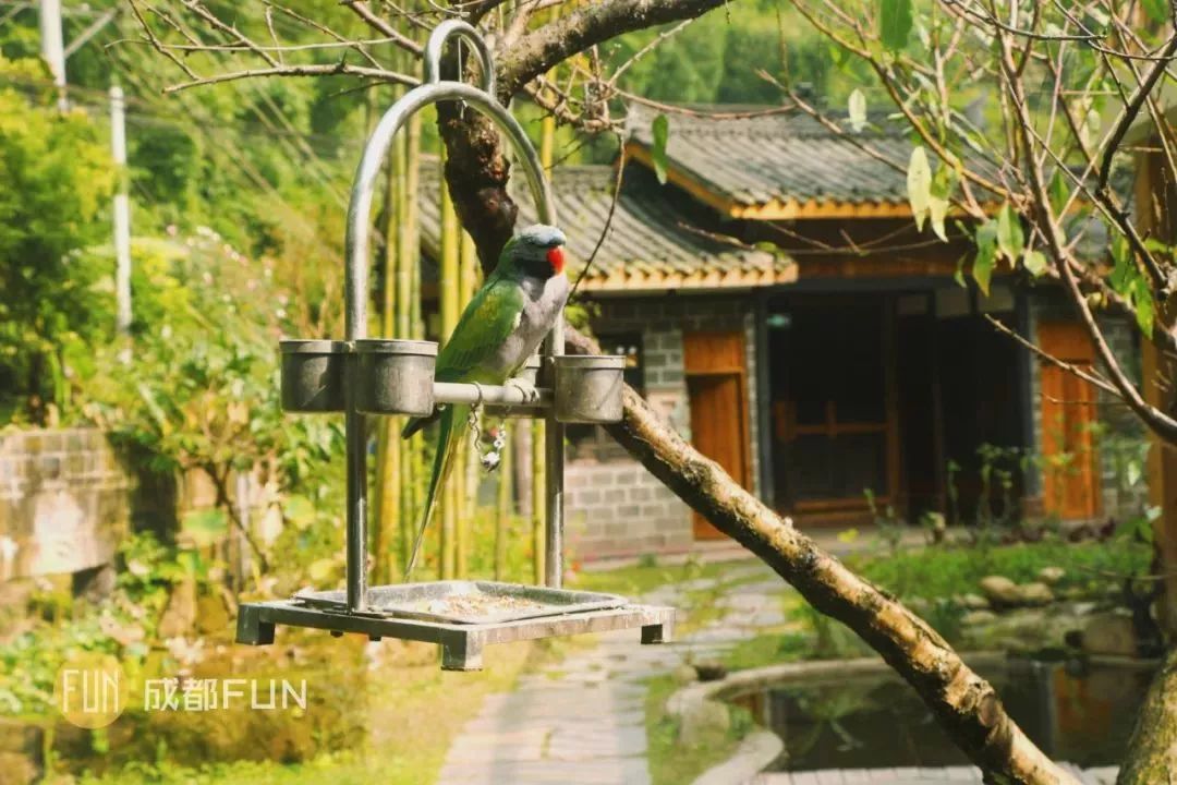 成都出发，一路向西的“旅行列车”年底开通！沿途好多……