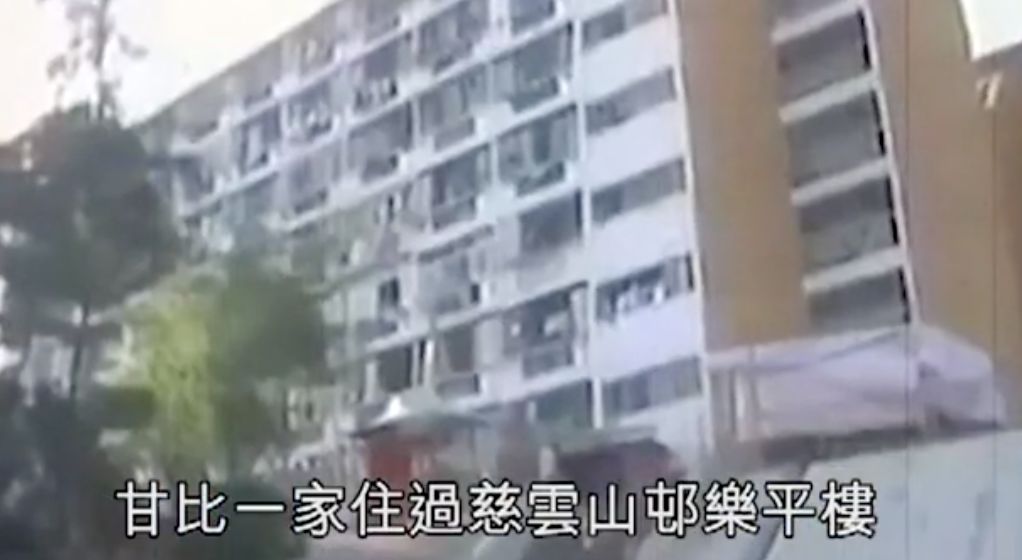 周星驰最爱的女首富是谁,周星驰喜欢的女首富