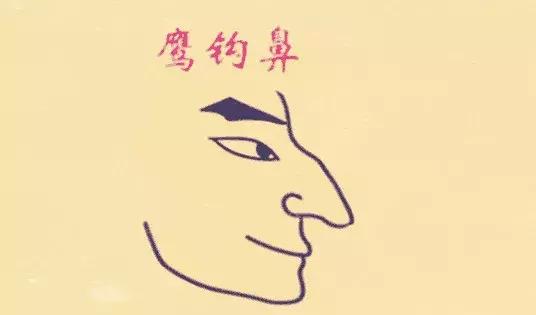 都是鹰钩鼻大美女，都爱过同一些男人，她俩的路怎么就不一样呢？