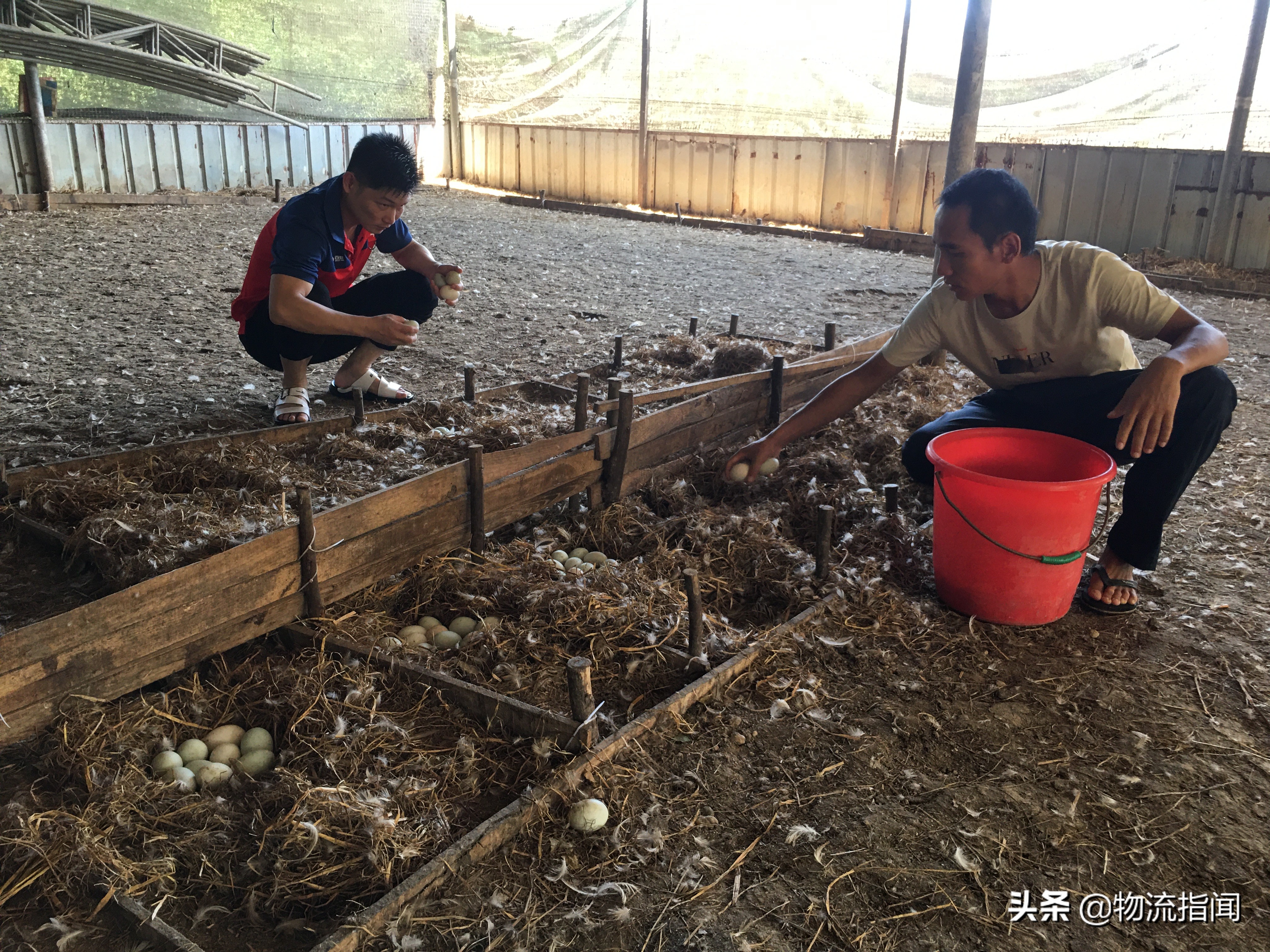 快递创业的项目概况,创业新开店的成功案例