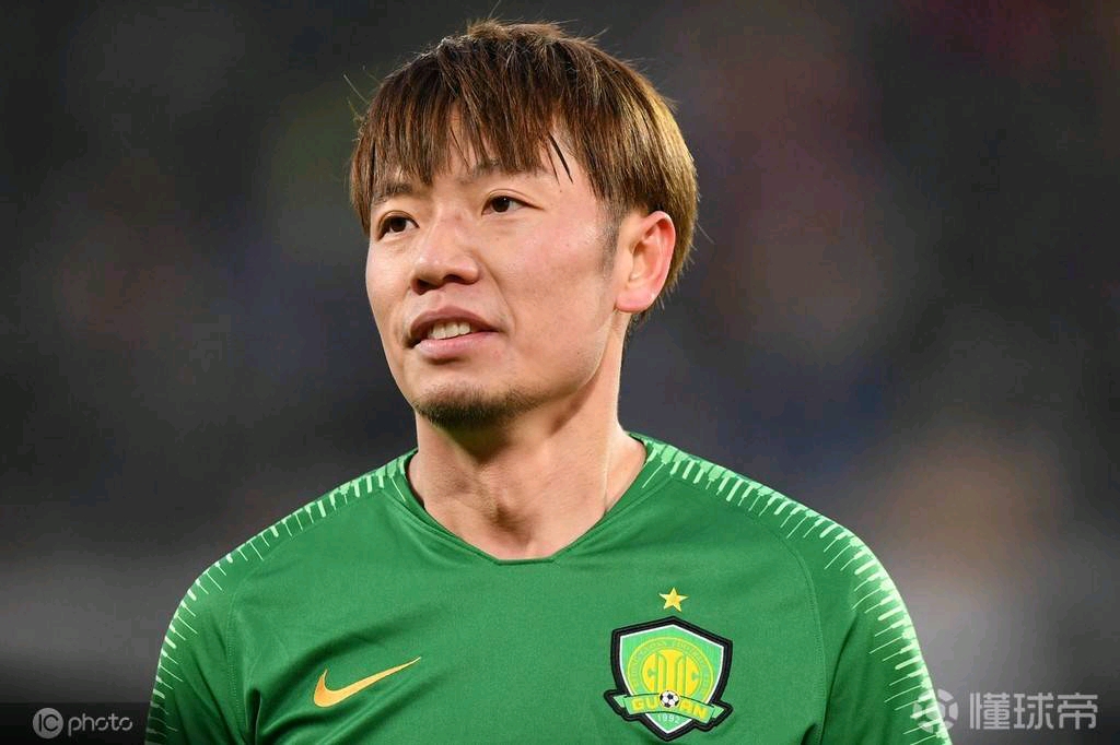 德甲张稀哲,张稀哲为什么去德甲