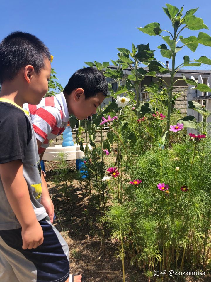 美国现在真实社会现状,美国社会真实的现状