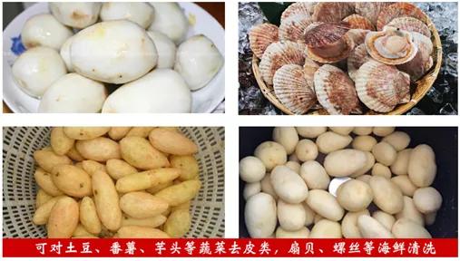 苏州土豆去皮机商用,江西商用土豆去皮机报价