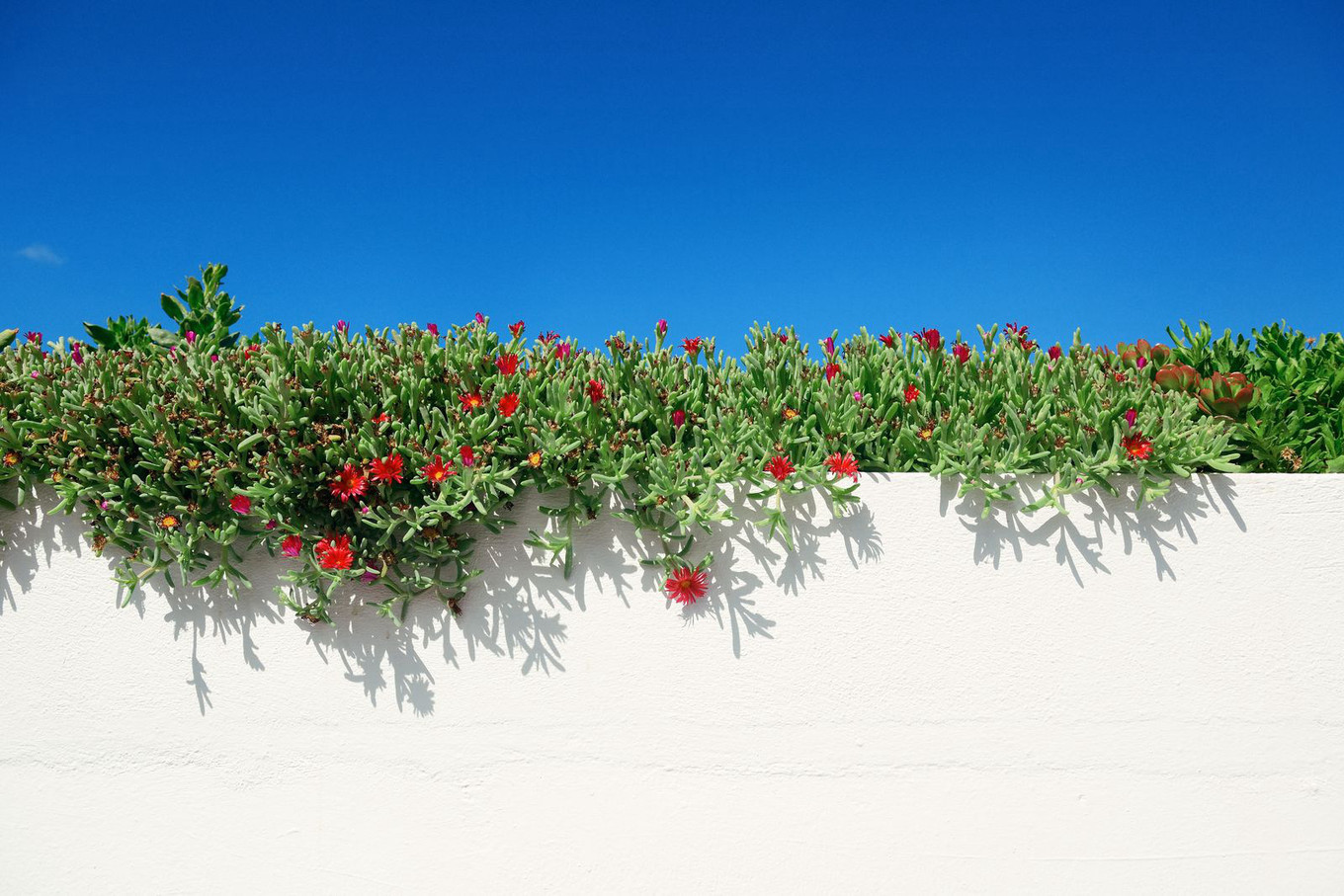希腊圣托里尼一年四季,希腊圣托里尼岛介绍