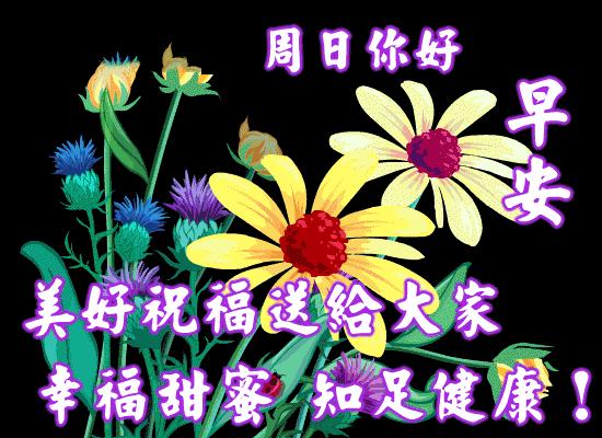 早安光棍节快乐,早安光棍节