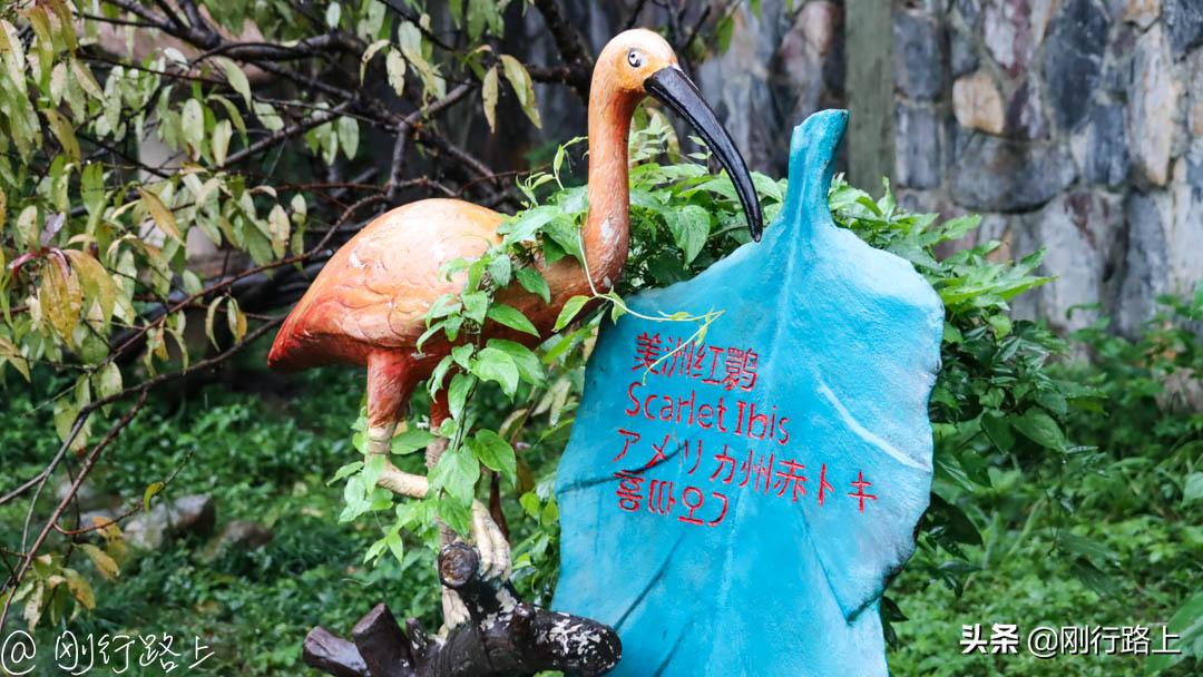 上海野生动物园攻略，一个适合亲子游玩的地方