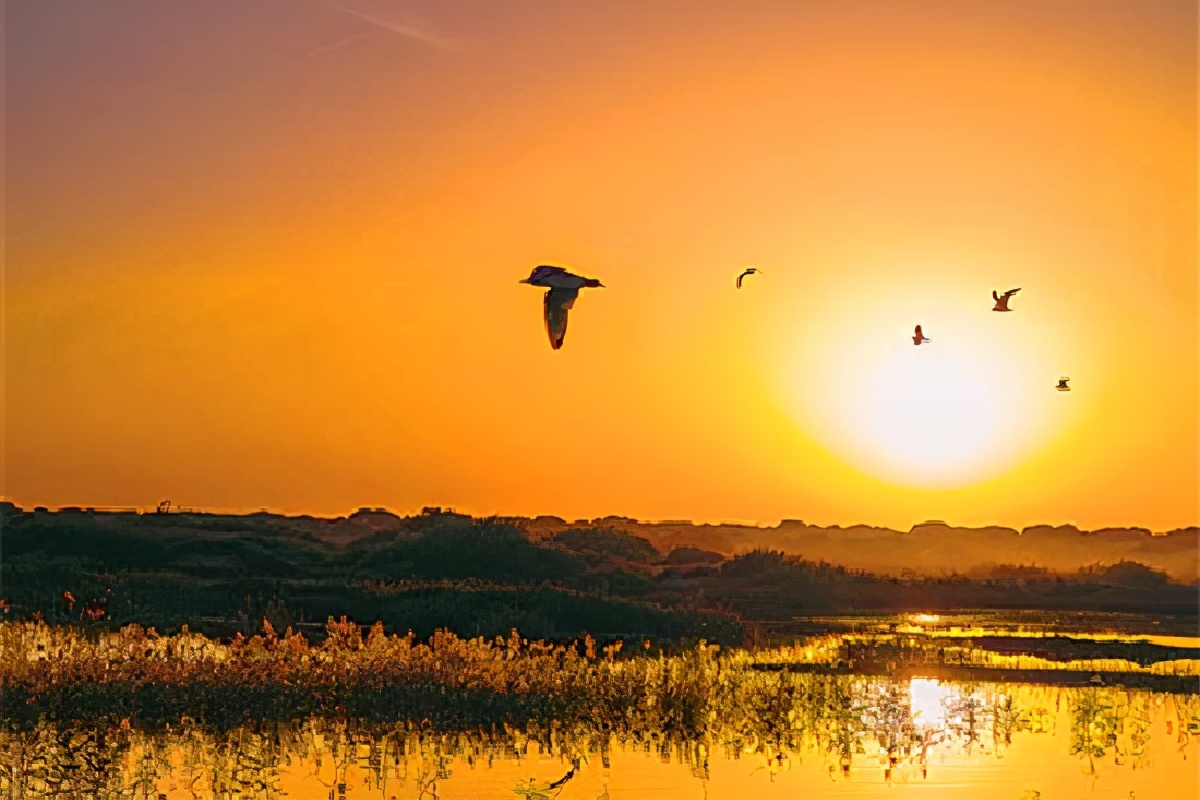 马致远的十首经典元曲,天净沙秋思白朴马致远有何异同