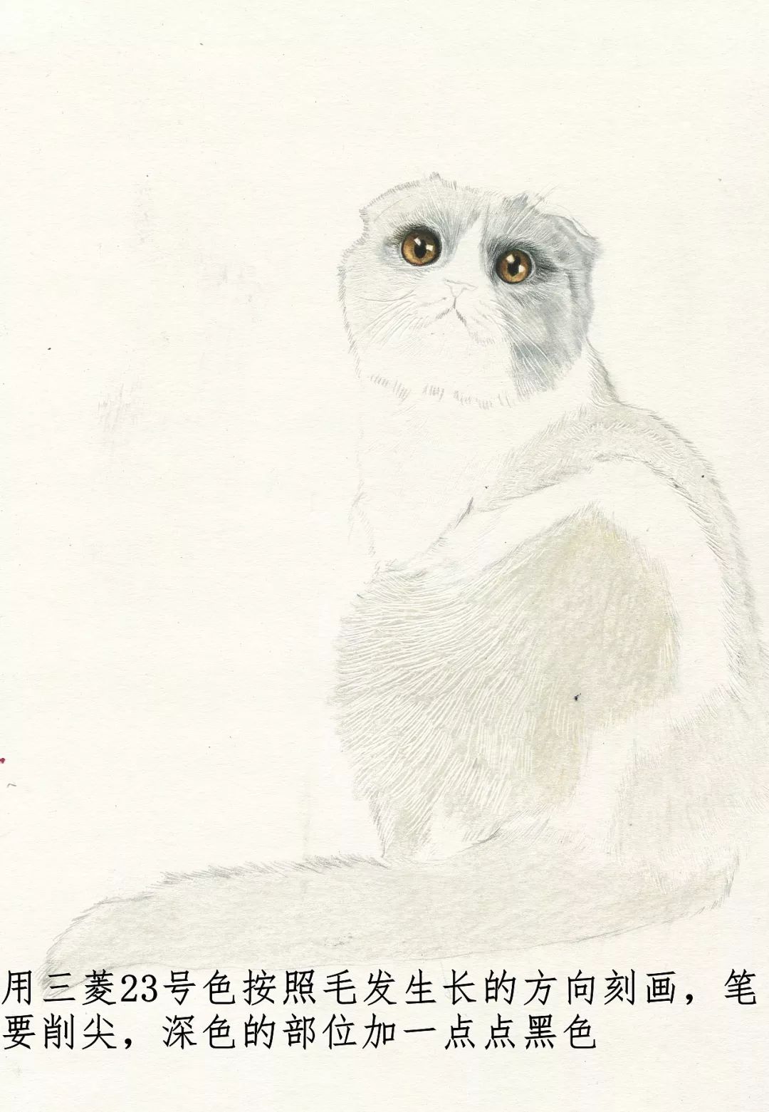 素描动物入门知识,素描动物简单入门教程狗