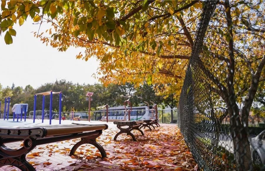 思源学院美景照片,西安思源学院秋景色