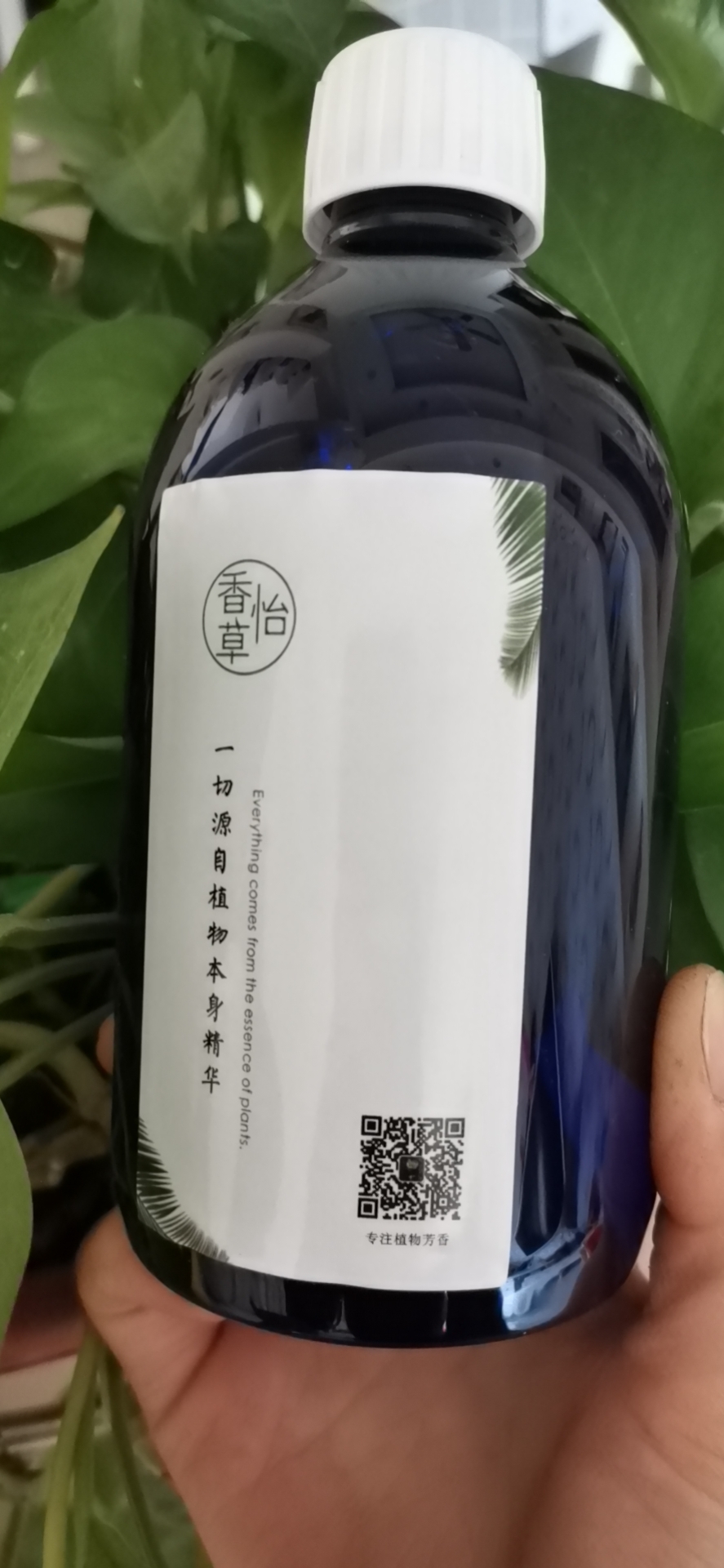 维生素b6祛痘推荐,马齿苋祛痘精华液