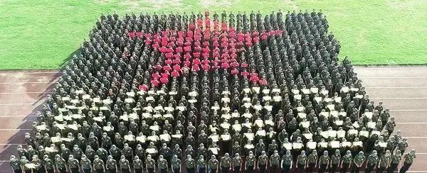 广东高职高考应该看什么,中山职业技术学院2024招生简章