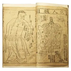 深度|不为良相，当为良医！宋代是中国医学发展的极盛时期