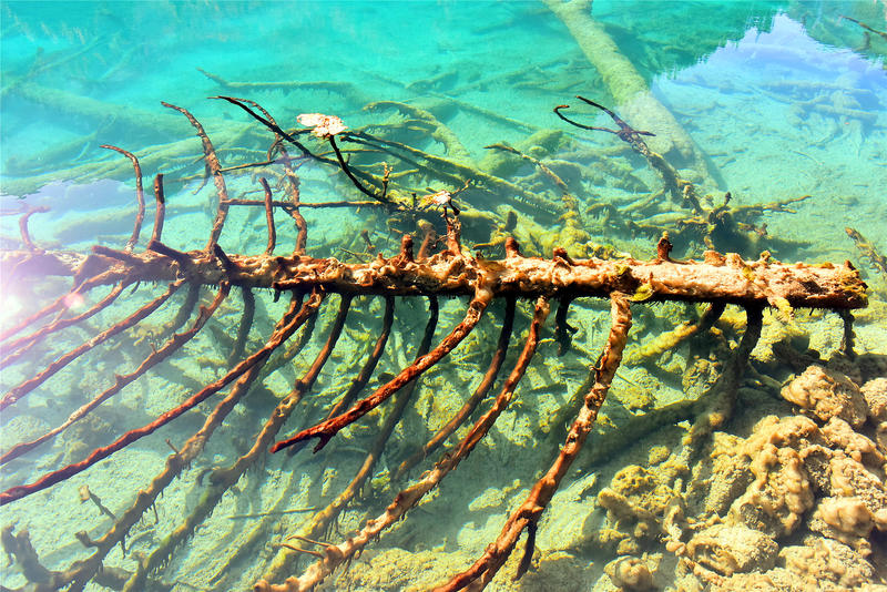 置身于童话中的九寨沟,畅游人间仙境黄龙九寨沟七日游