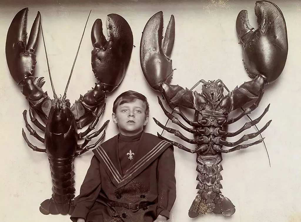 家暴谋杀却逍遥法外，先天畸形反而助长“龙虾男孩”的邪恶