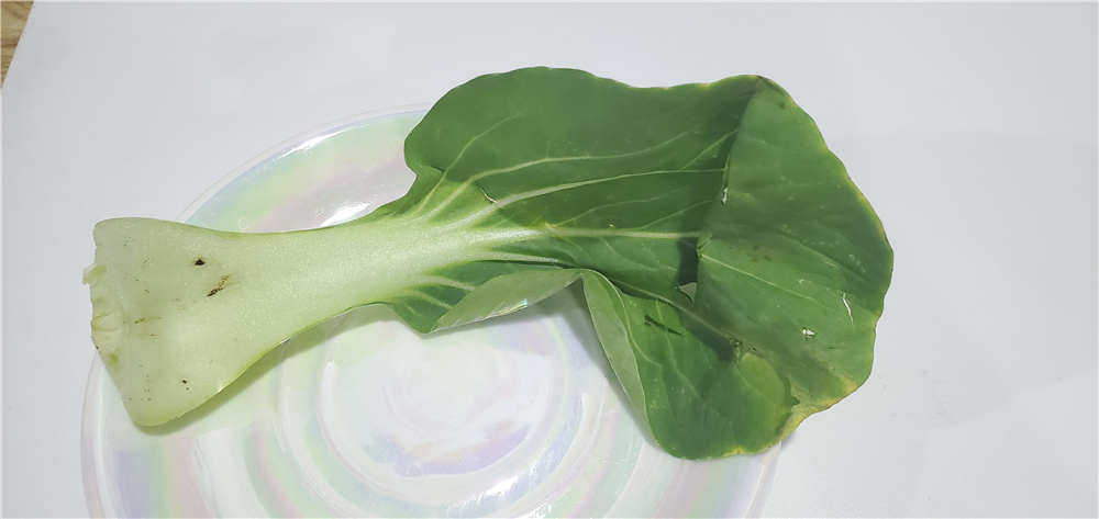 美的605升冰箱质量怎么样,美的606冰箱优缺点