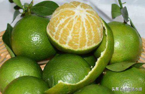 比蜂蜜还甜的柑橘,广西酸酸甜甜好剥皮的柑橘