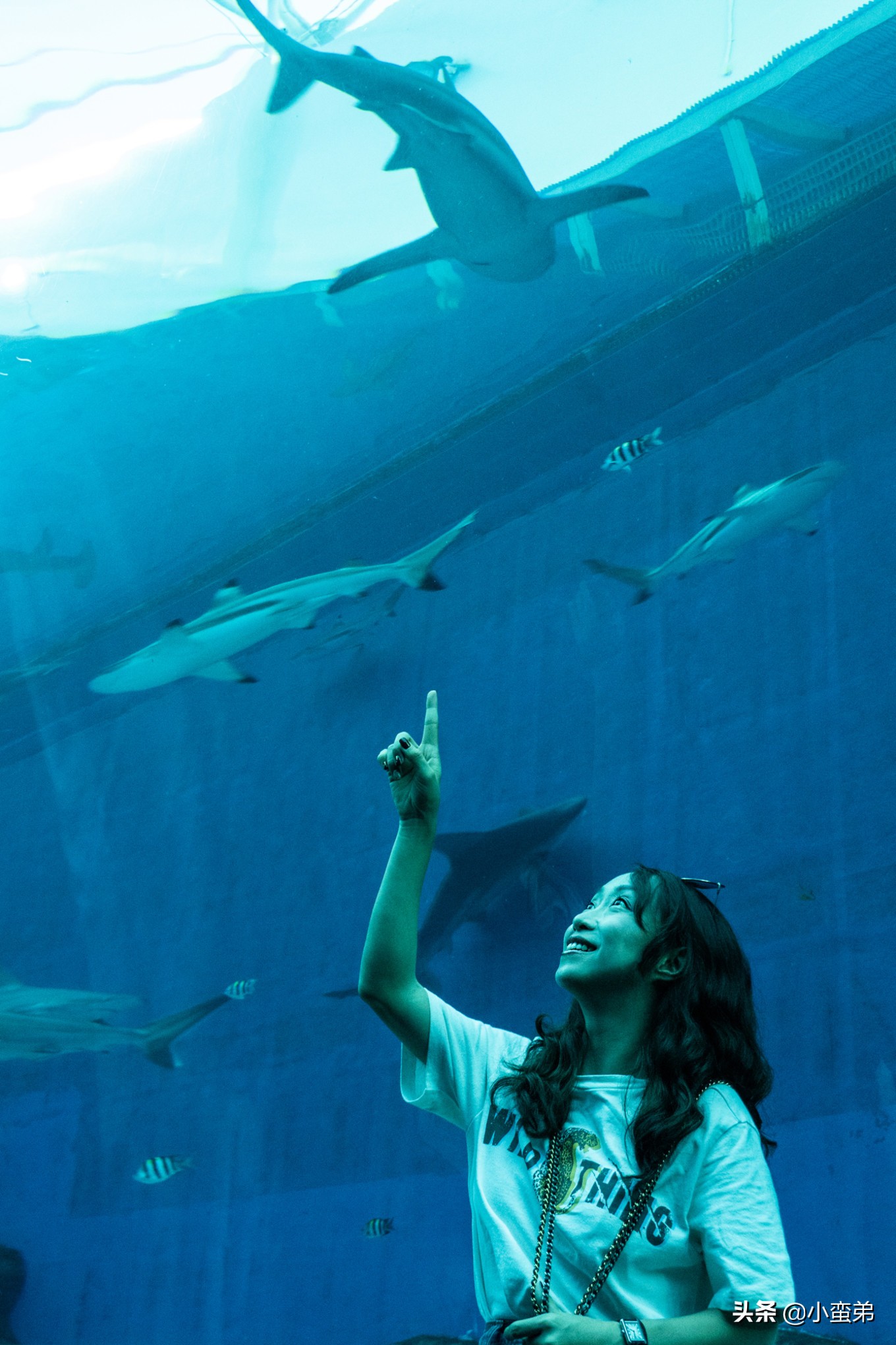 5年之许，小白逆袭重返新加坡