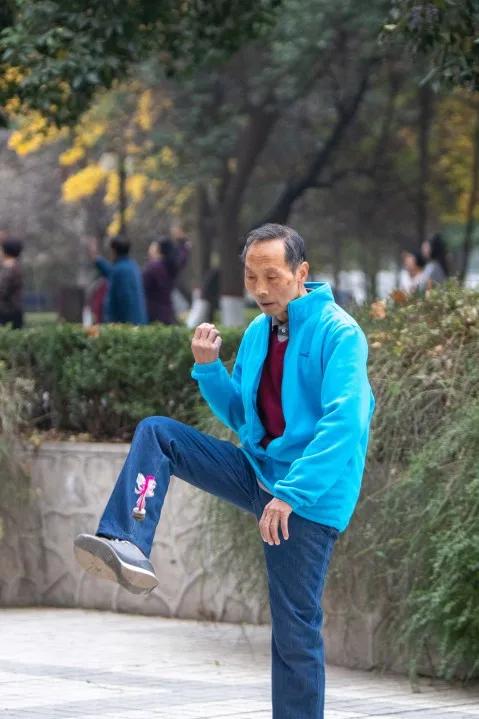 莲湖区晚上哪里可以散步,莲湖晨练