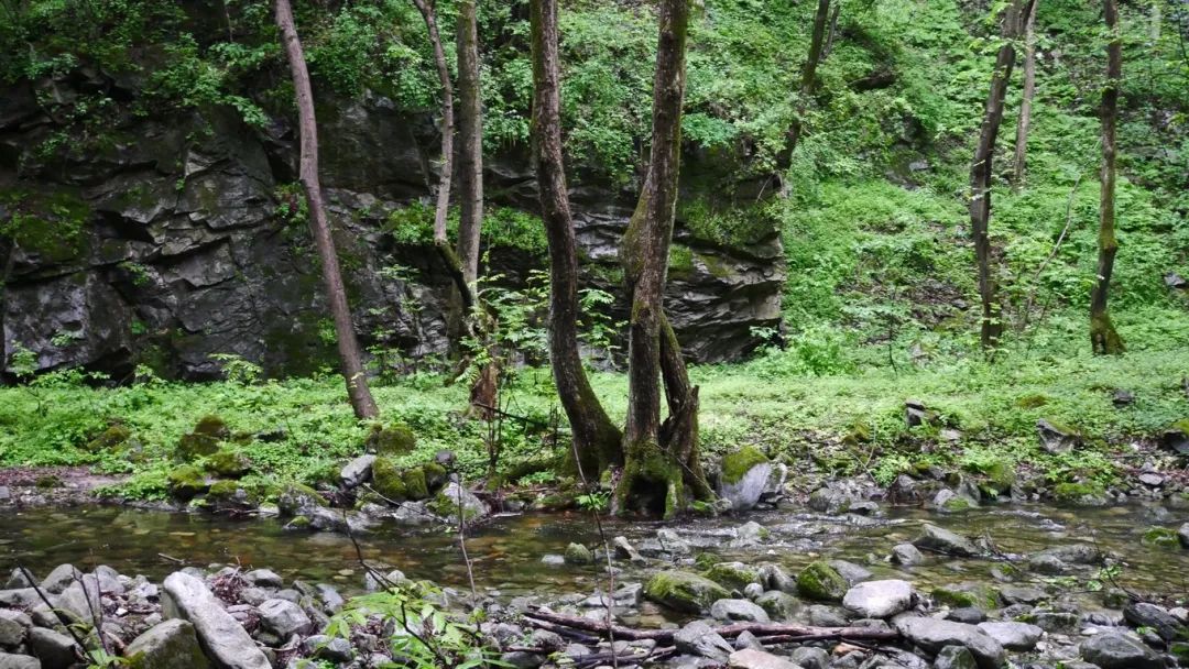 一起爬山吗?西安这些山不仅野,还不要钱~