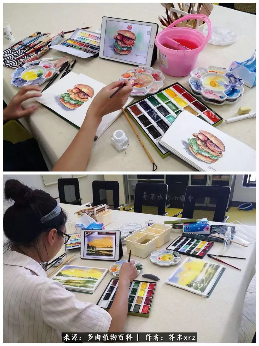 那个爱画多肉的小姑娘带着她的心头肉又来啦!