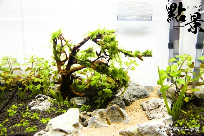 不看后悔的经营之道,不看就后悔的实用小技巧