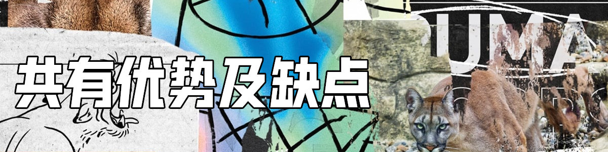 最值得入手的puma鞋,puma值得入手的鞋款