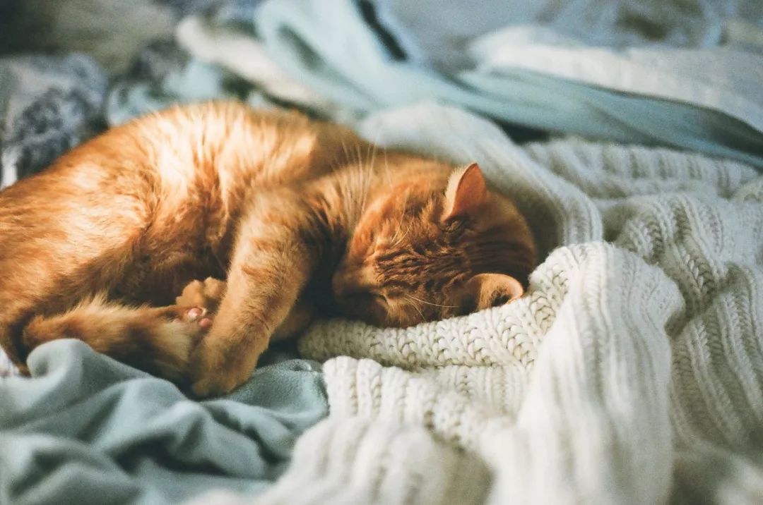 连续两次被公司辞退后的心态,连续被三家公司辞退后怎么做