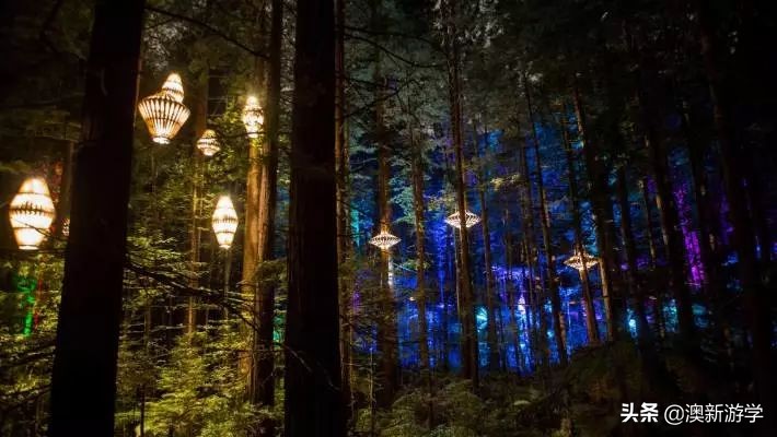 新西兰旅游景点北岛图片大全,新西兰北岛旅游游玩攻略