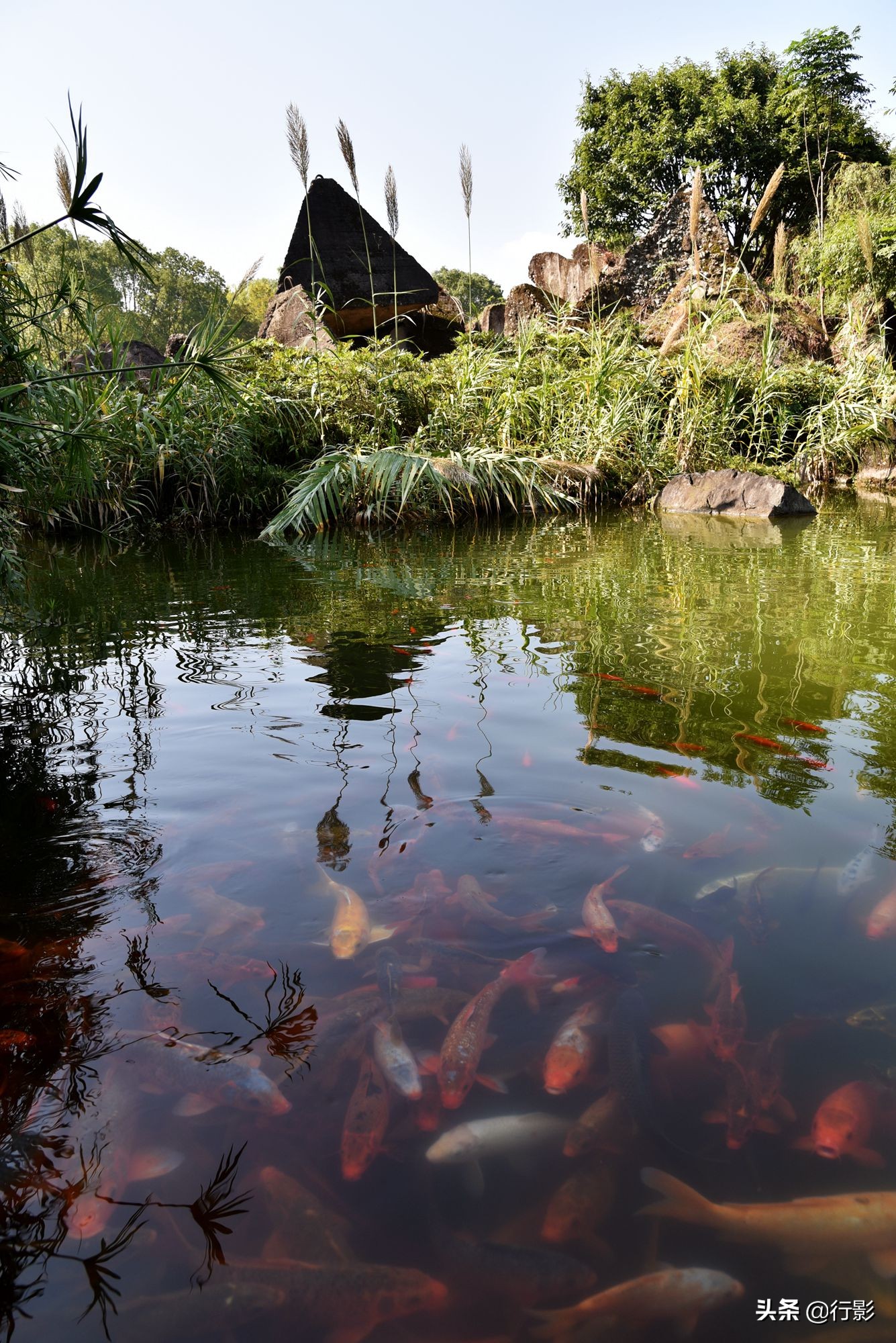 宜昌秭归旅游攻略一日游最佳路线,湖北宜昌秭归县旅游全攻略
